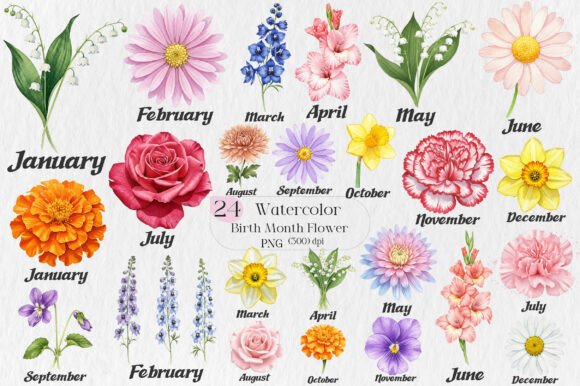 Birth Month Flower Watercolor Clipart: A Designer's Guide